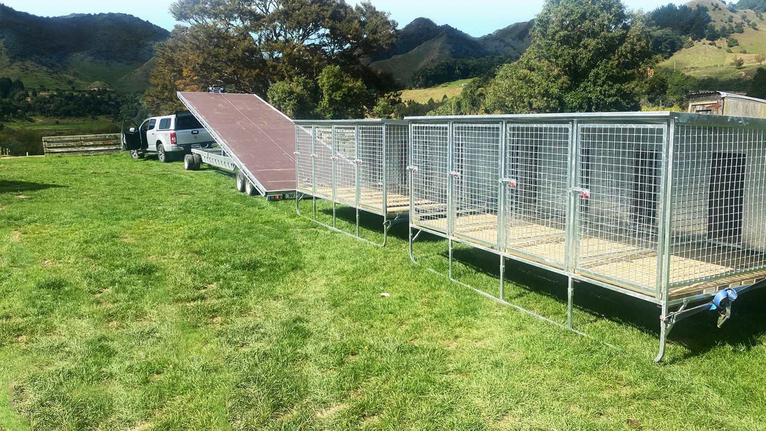 Dog Kennels NZ | Dog Kennel and Run Options Available | Damel